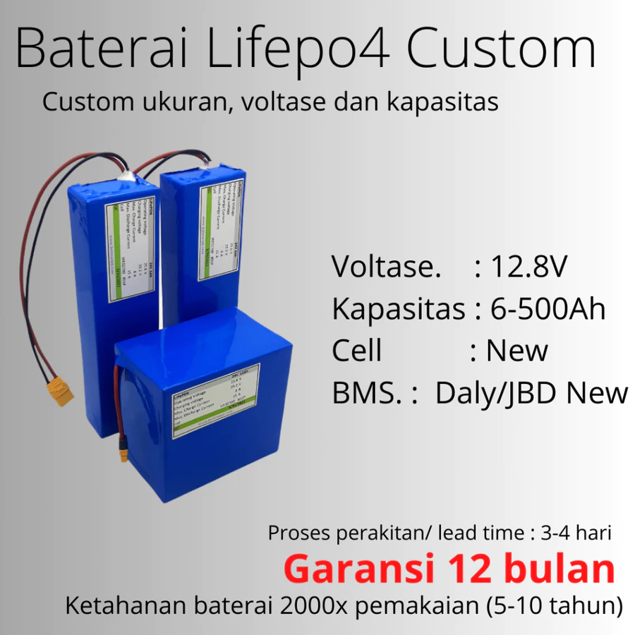 Baterai Lifepo4 12V 6-200Ah 3000-5000